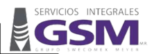 GSM